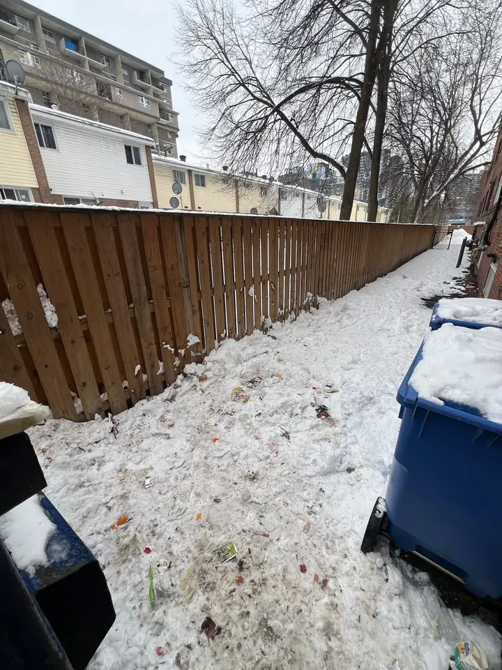 The same spot cleared, with only the bins left