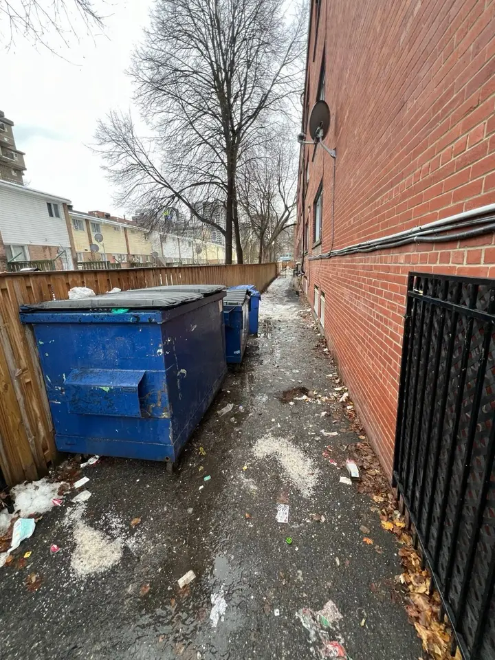 The lane beside the building with the bins closed and the ground cleared